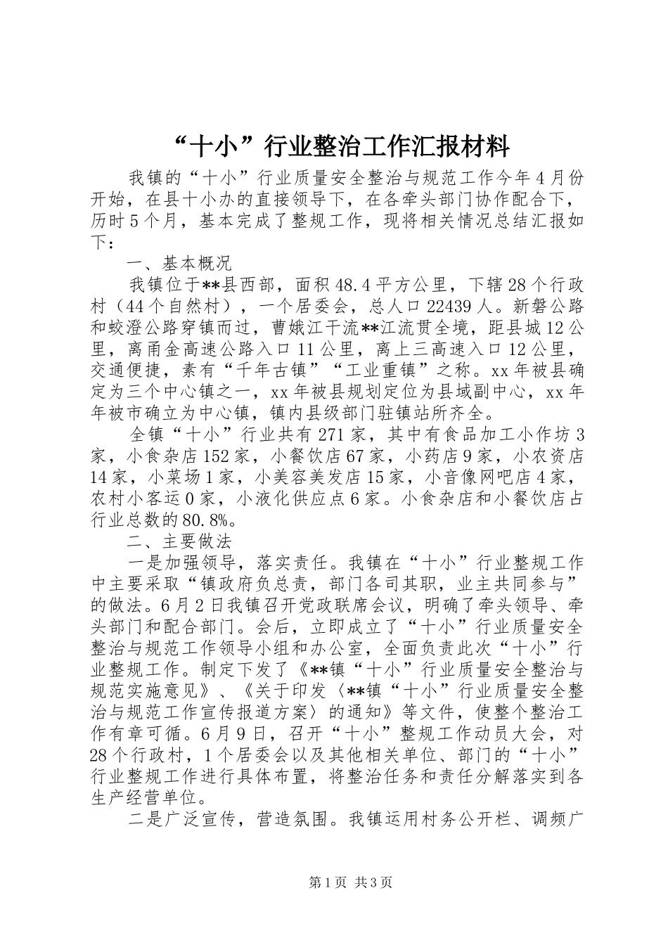 “十小”行业整治工作汇报材料 _第1页