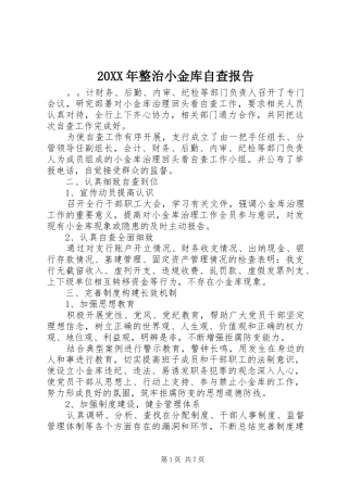 20XX年整治小金库自查报告