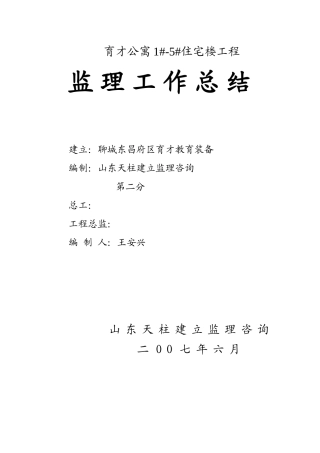 监理工作总结cc