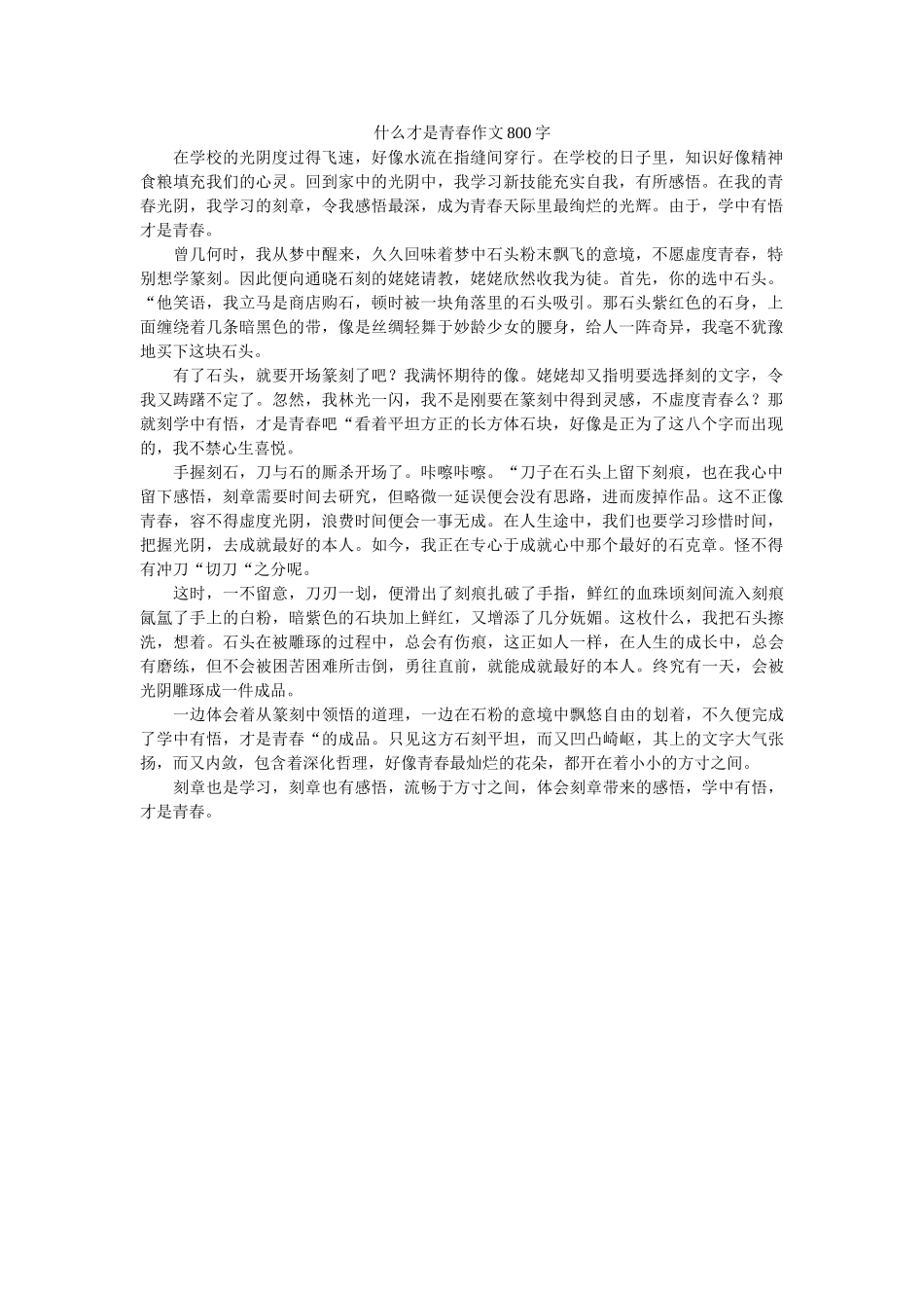 什么才ۥ是青春作文800字 _第1页