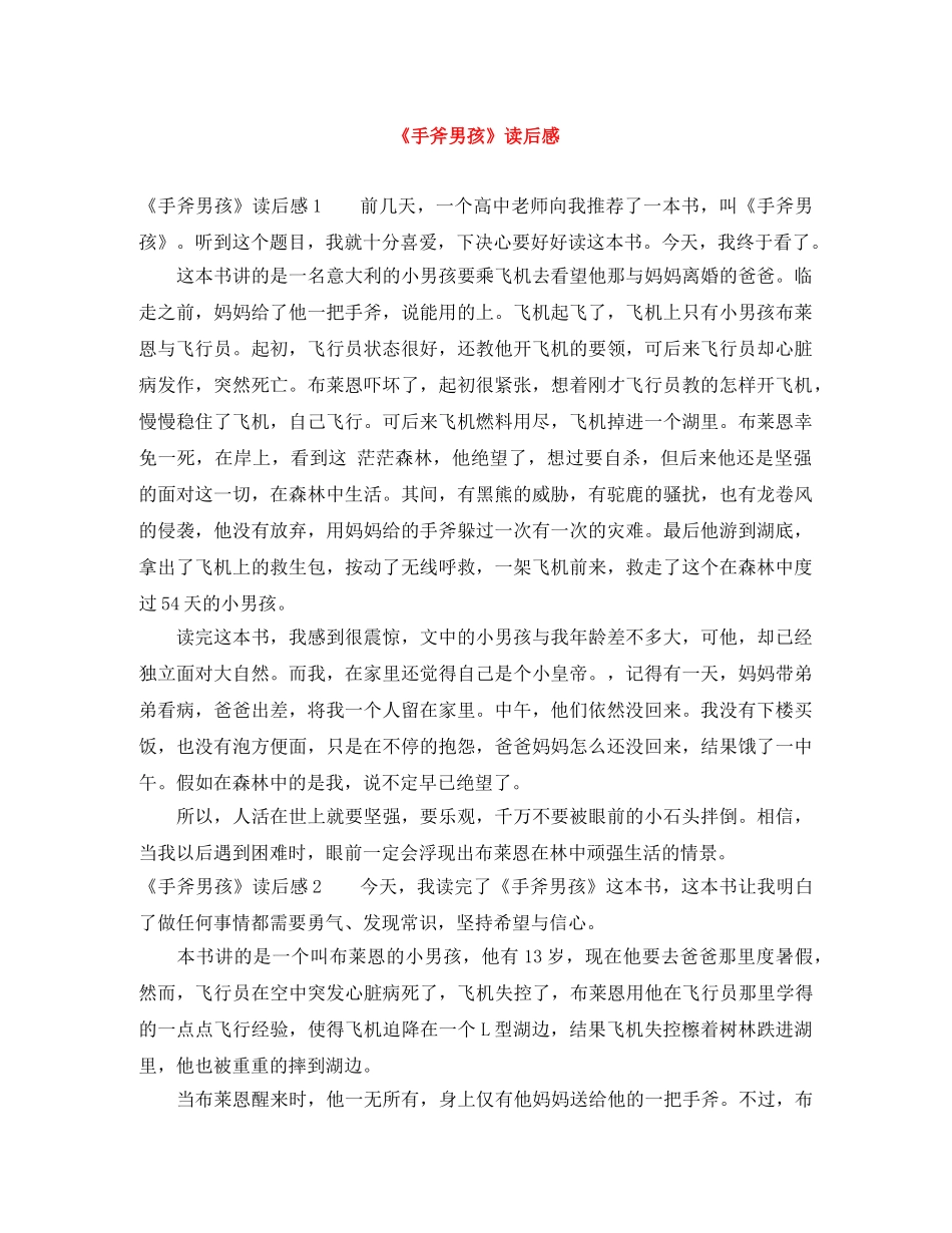 《手斧男孩》读后感 _第1页