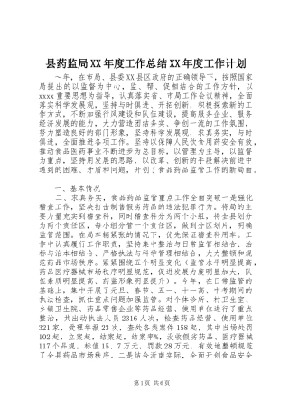 县药监局XX年度工作总结XX年度工作计划