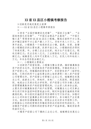 XX省XX县区小榄镇考察报告 