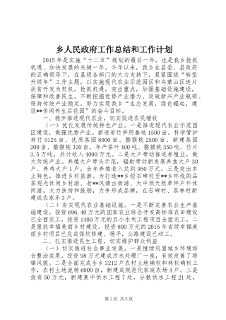 乡人民政府工作总结和工作计划