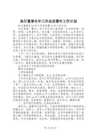 执行董事长年工作总结暨年工作计划