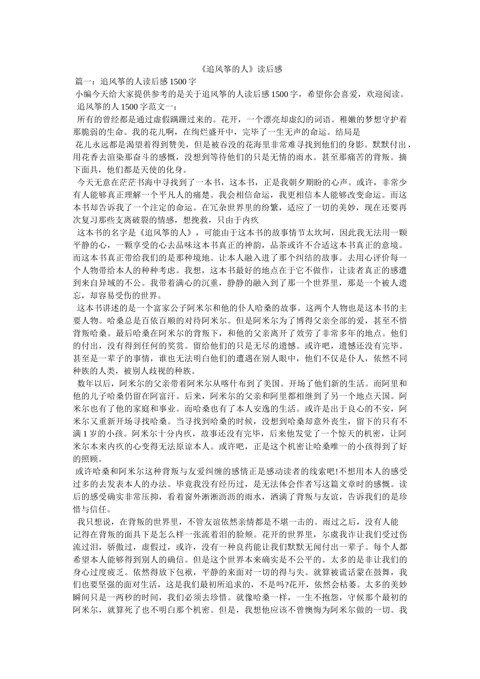 《追风筝的人》读后感 _第1页