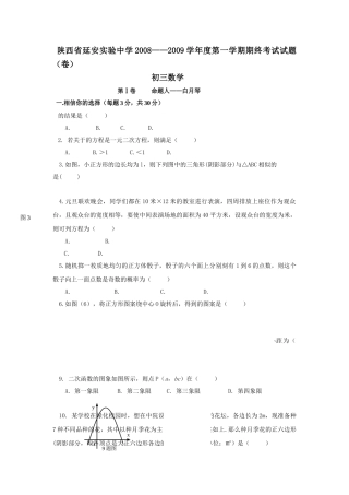 陕西延安实验0809九年级上期终考试试卷 