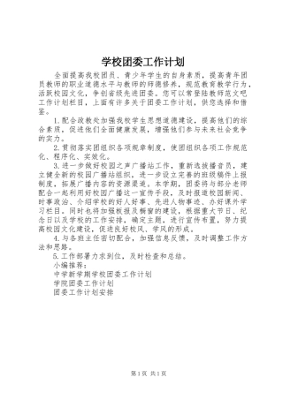学校团委工作计划 (31)