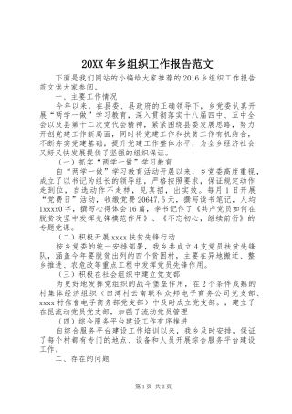 20XX年乡组织工作报告范文