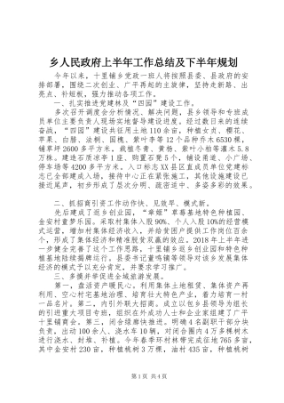 乡人民政府上半年工作总结及下半年规划