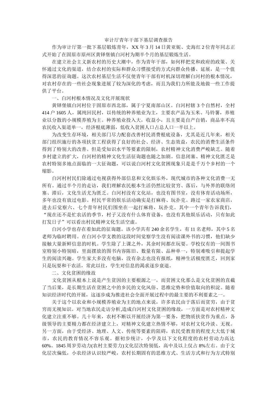 审计厅青年干部下基层调查报告 _第1页