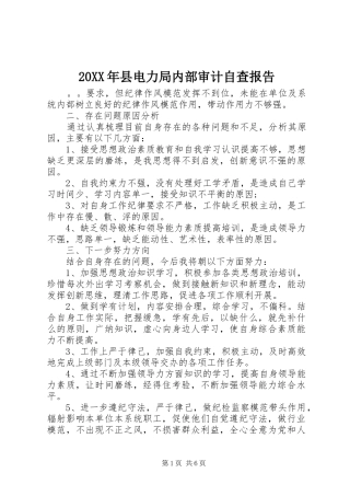 20XX年县电力局内部审计自查报告