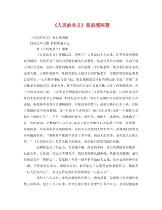 《人民的名义》观后感两篇2 