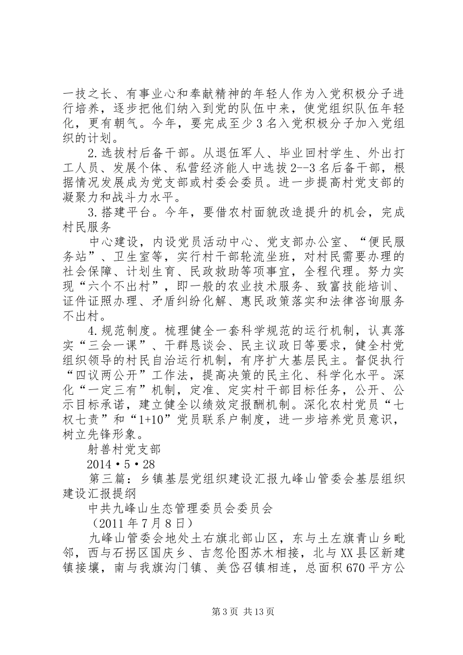 乡镇村基层党组织建设提升规划_第3页