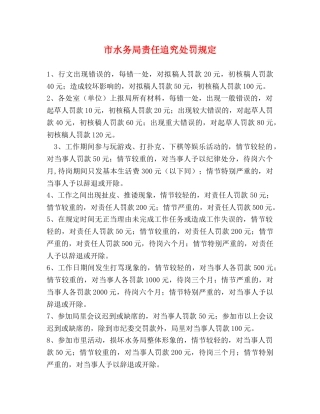 市水务局责任追究处罚规定 