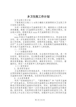 乡卫生院工作计划