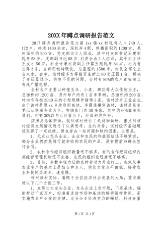 20XX年蹲点调研报告范文