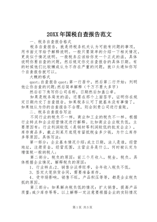 20XX年国税自查报告范文