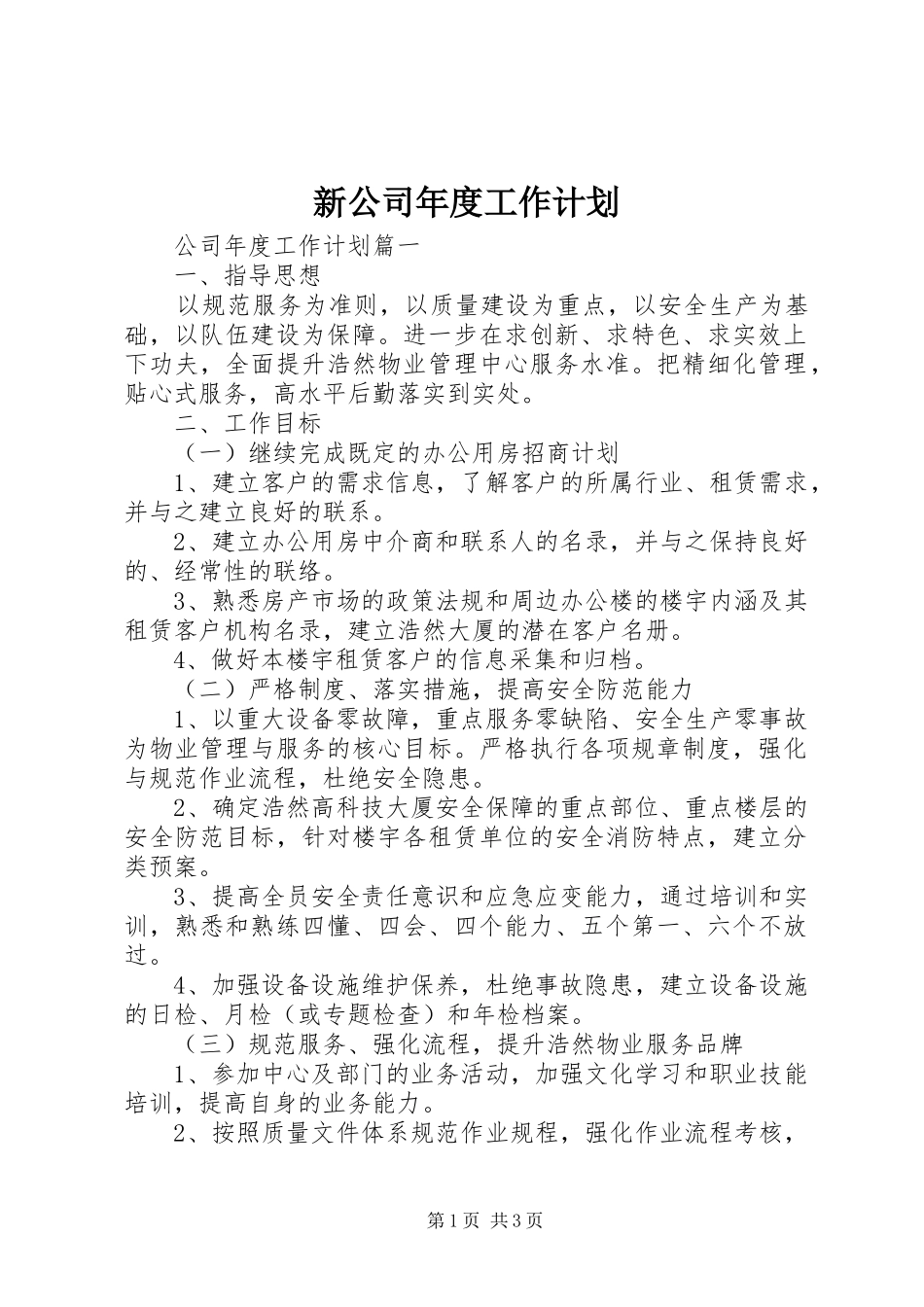 新公司年度工作计划_第1页