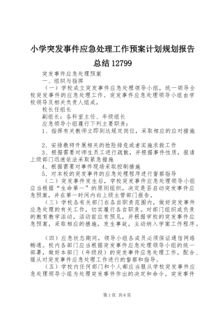小学突发事件应急处理工作预案计划规划报告总结12799
