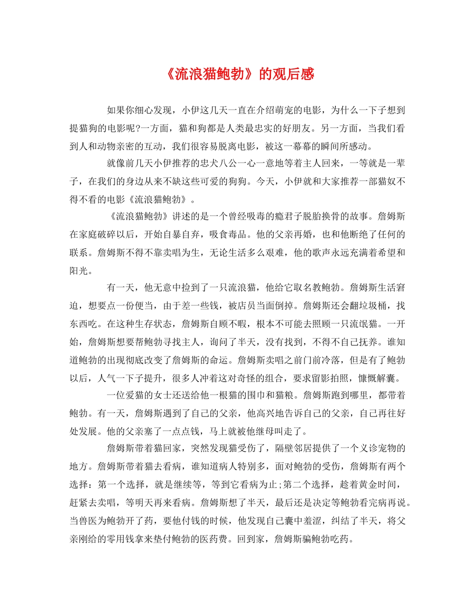 《流浪猫鲍勃》的观后感 _第1页