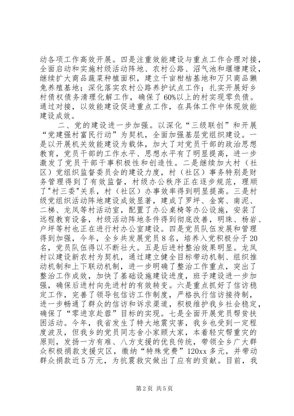 乡人民政府工作总结及工作计划_第2页