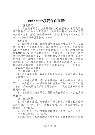 20XX年专项资金自查报告