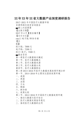 XX年XX年XX省大数据产业深度调研报告 