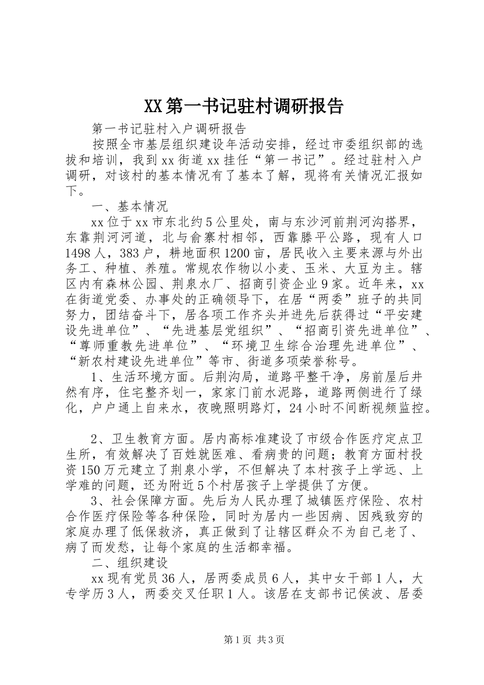 XX第一书记驻村调研报告 _第1页