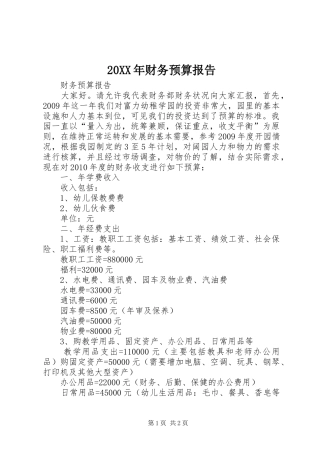20XX年财务预算报告 (3)