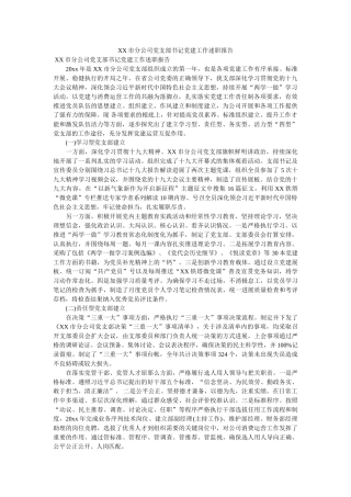 市分公司党支部书记党建工作述职报告 