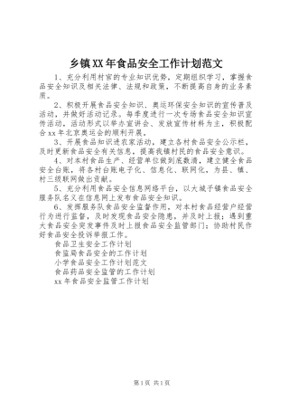乡镇XX年食品安全工作计划范文
