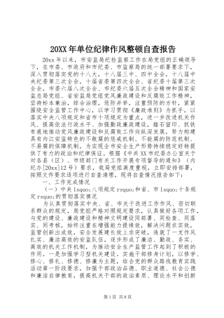20XX年单位纪律作风整顿自查报告