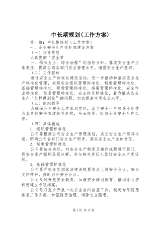 中长期规划(工作方案)