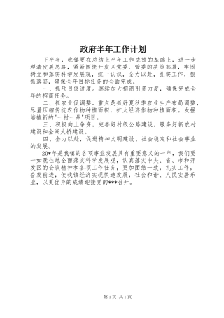 政府半年工作计划