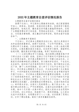 20XX年主题教育自查评估情况报告