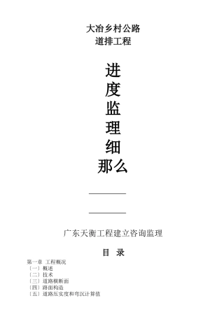 道排工程进度监理细则