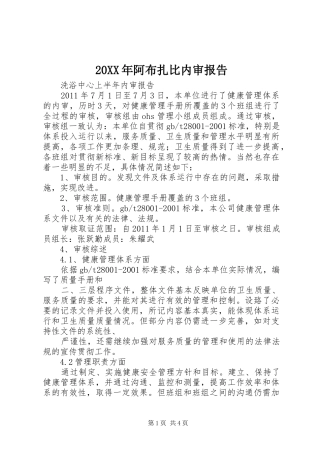 20XX年阿布扎比内审报告 (3)
