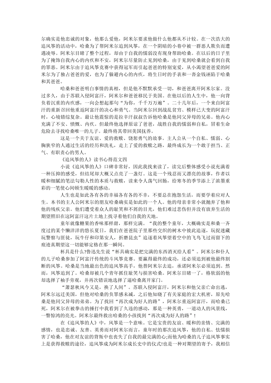 《追风筝的人》读书心得5篇优秀范文 _第3页