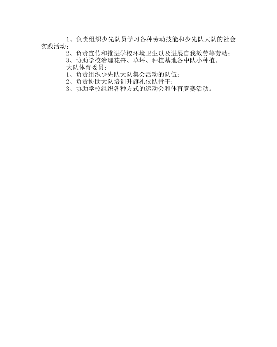 少先队工作范文大队委职责 _第2页
