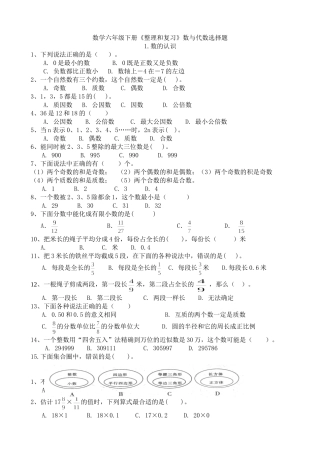 2017年六年级下册《数与代数》选择题 