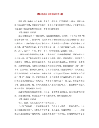 《警犬拉拉》读后感400字5篇 
