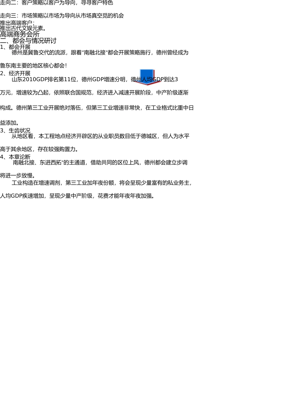 商业定位报告(销售) _第3页