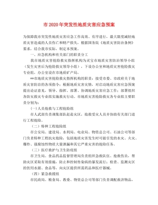 市2020年突发性地质灾害应急预案 