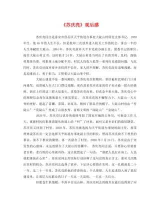 《苏庆亮》观后感 