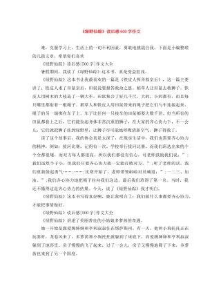 《绿野仙踪》读后感500字作文 