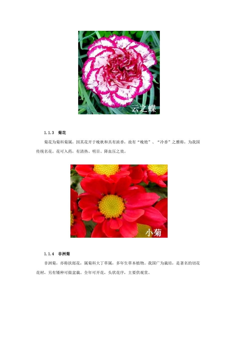 出口花卉技术指南_第3页