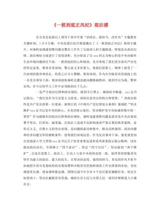 《一抓到底正风纪》观后感 