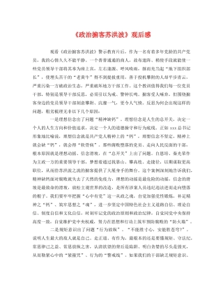 《政治掮客苏洪波》观后感 