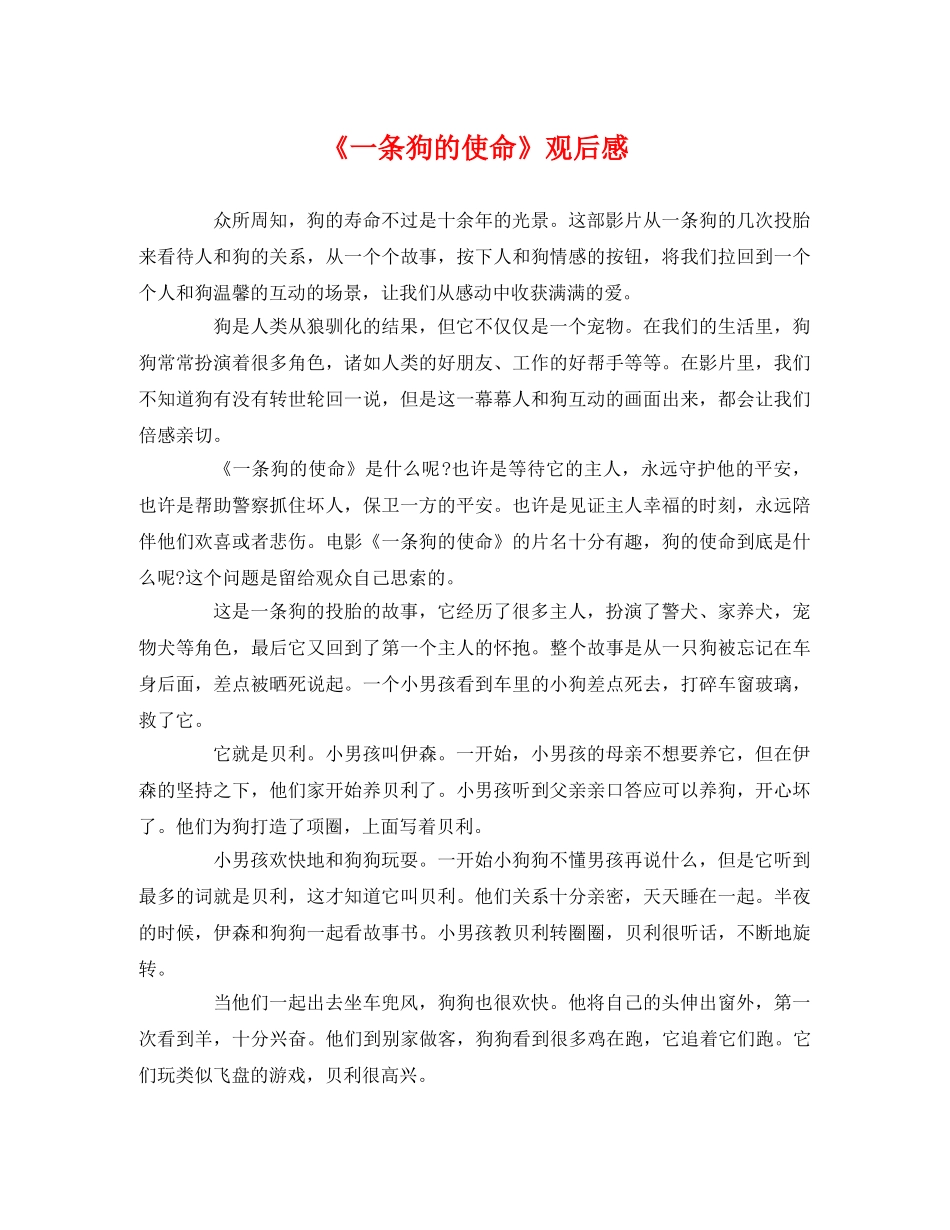 《一条狗的使命》观后感2 _第1页